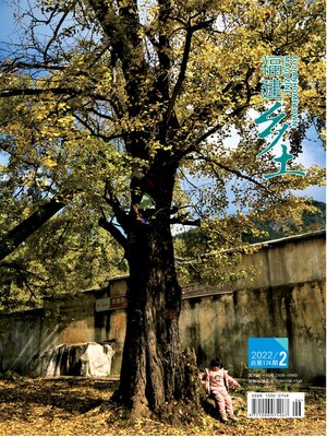 cover image of 福建乡土2022年第2期